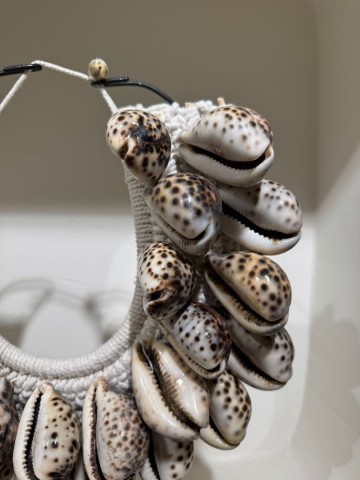 8d5da493 59dc 4c12 94f3 8de7db9fb8c3